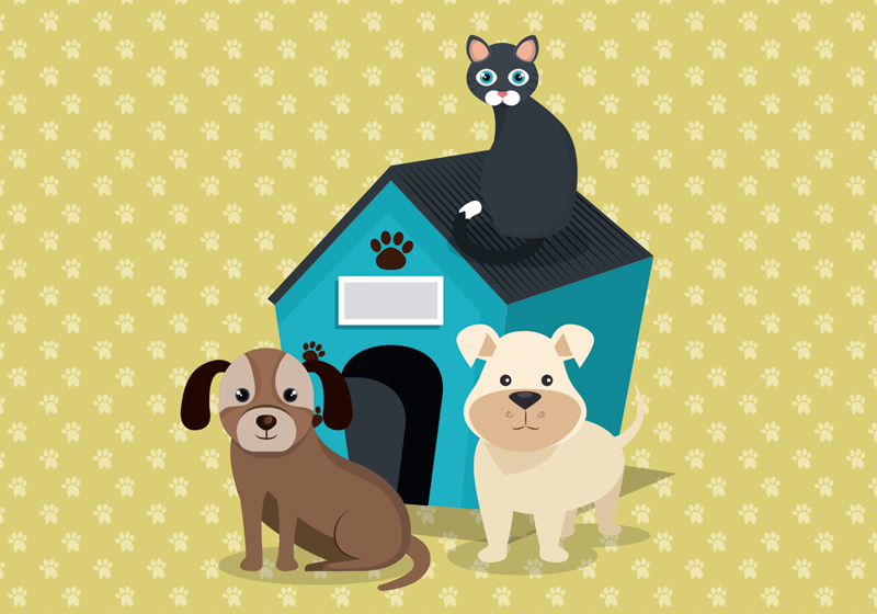 Tapete vinílico de animais cães em casa - TenStickers