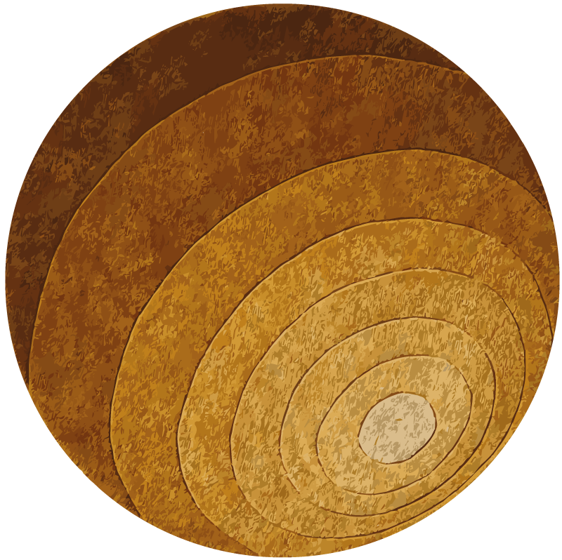 Tapete vinílico madeira camadas da natureza - TenStickers