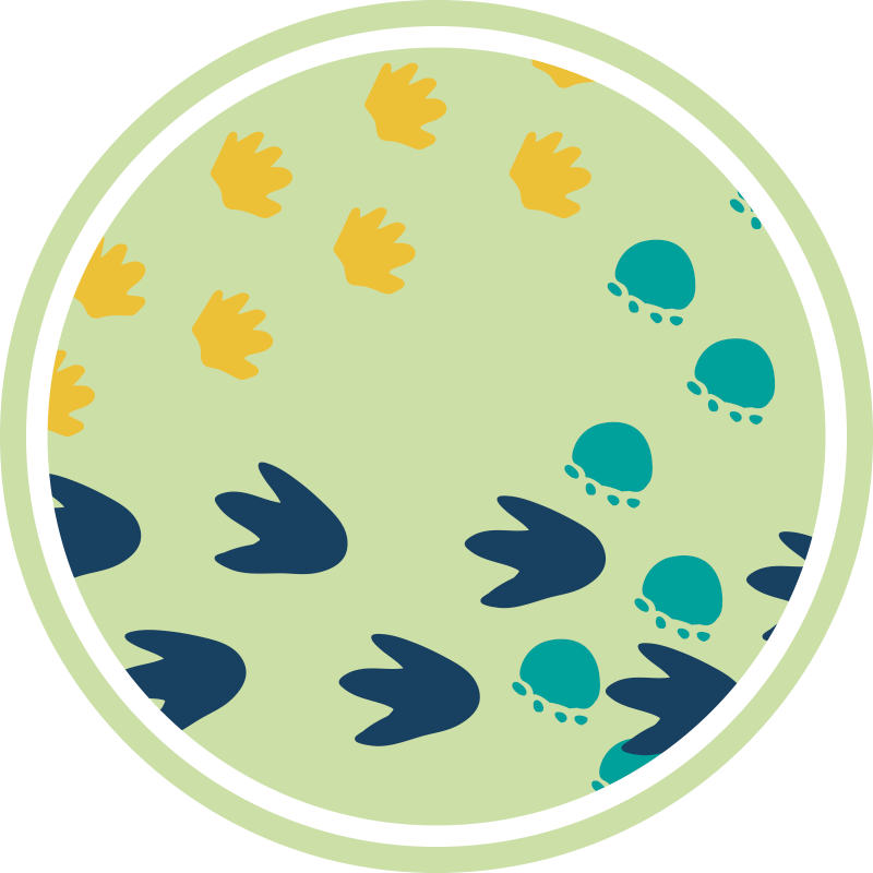 Pegadas de dinossauros tapete de brincar para bebês - TenStickers