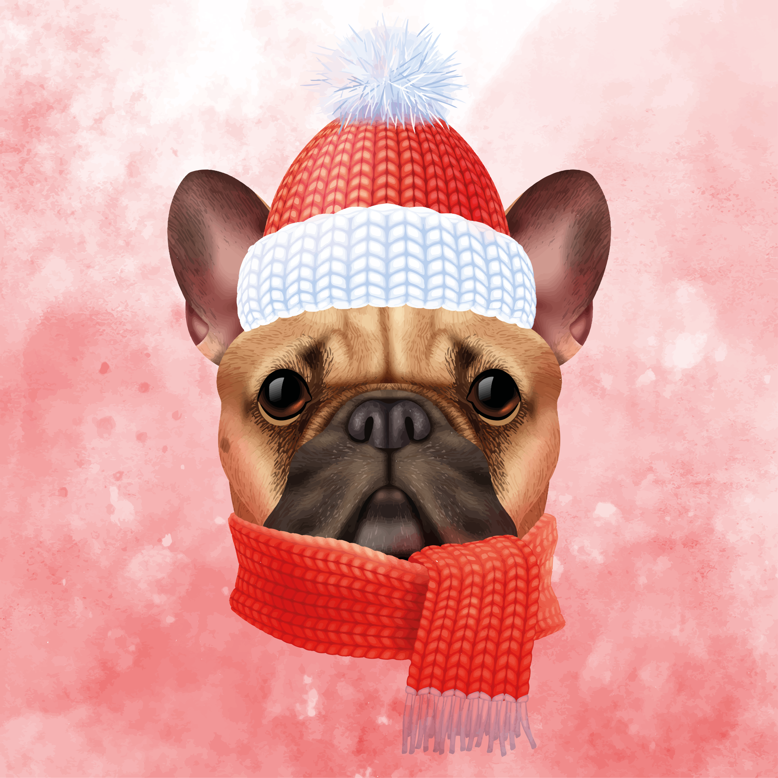 Tapete vinílico de animais inverno do buldogue francês - TenStickers