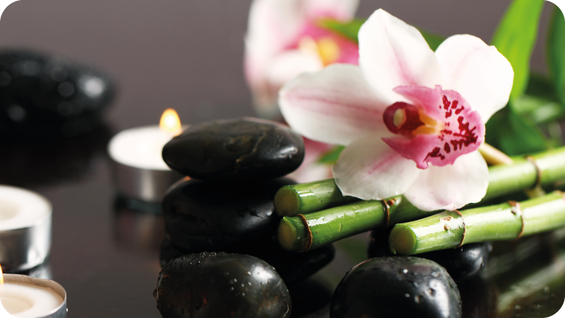 Tapete vinílico natureza serenidade da orquídea - TenStickers