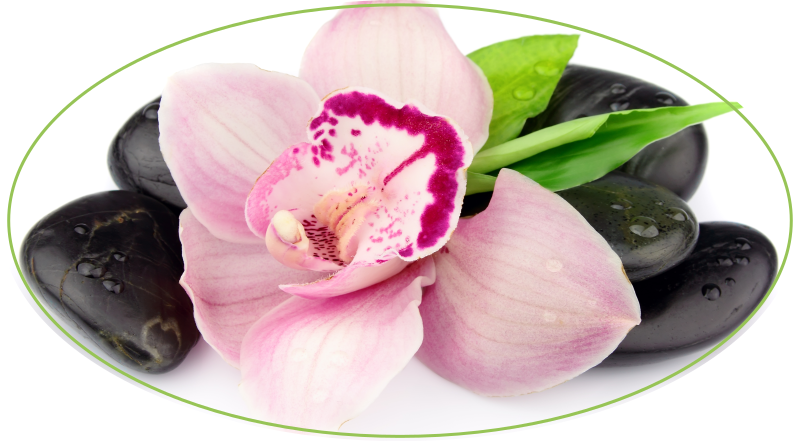 Orquídea rosa com pedras tapete de vinil floral - TenStickers