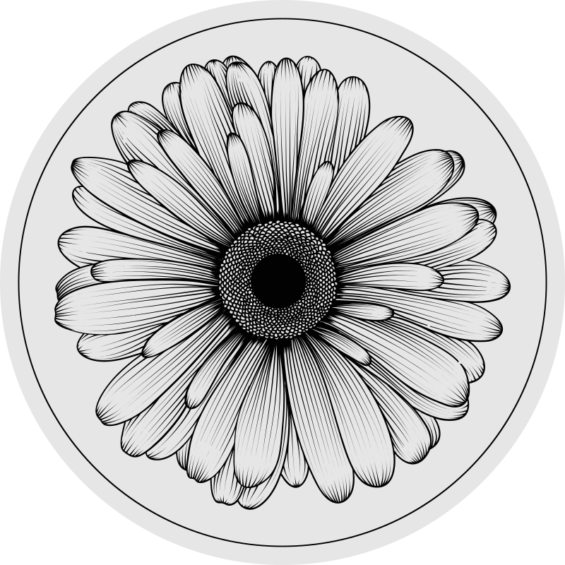Tapete redondo de vinil floral com flor de margarida - TenStickers