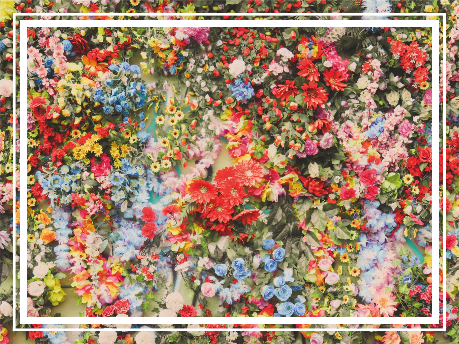 Diferentes tipos de flores campo tapete floral - TenStickers