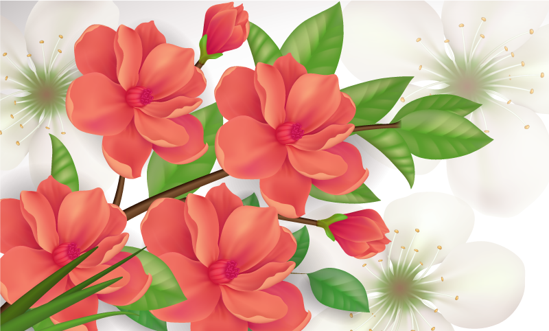 Tapete vinílico flores e plantas arranjo colorido de flores - TenStickers