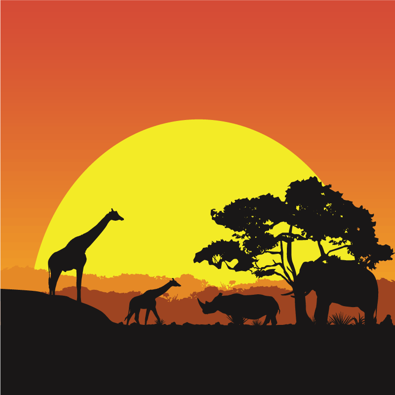 Tapete moderno de savana africana - TenStickers