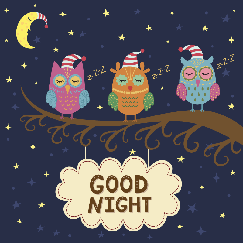 Tapete vinílico de animais trio de corujas sonolentas - TenStickers