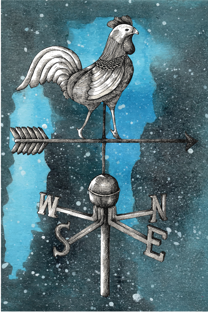 Tapete vinílico juvenil galo cata-vento - TenStickers