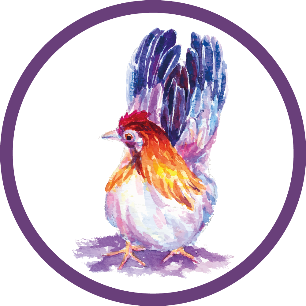 Tapete vinílico de animais frango colorido coq - TenStickers