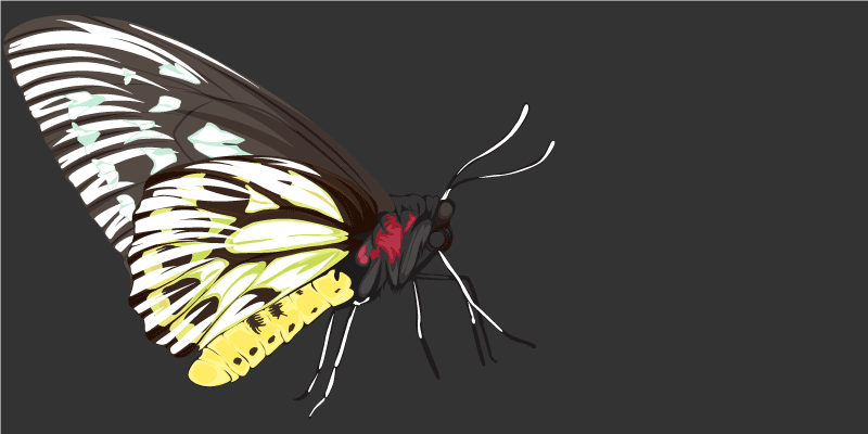 Tapete de quarto de borboleta amarelo detalhado realista - TenStickers