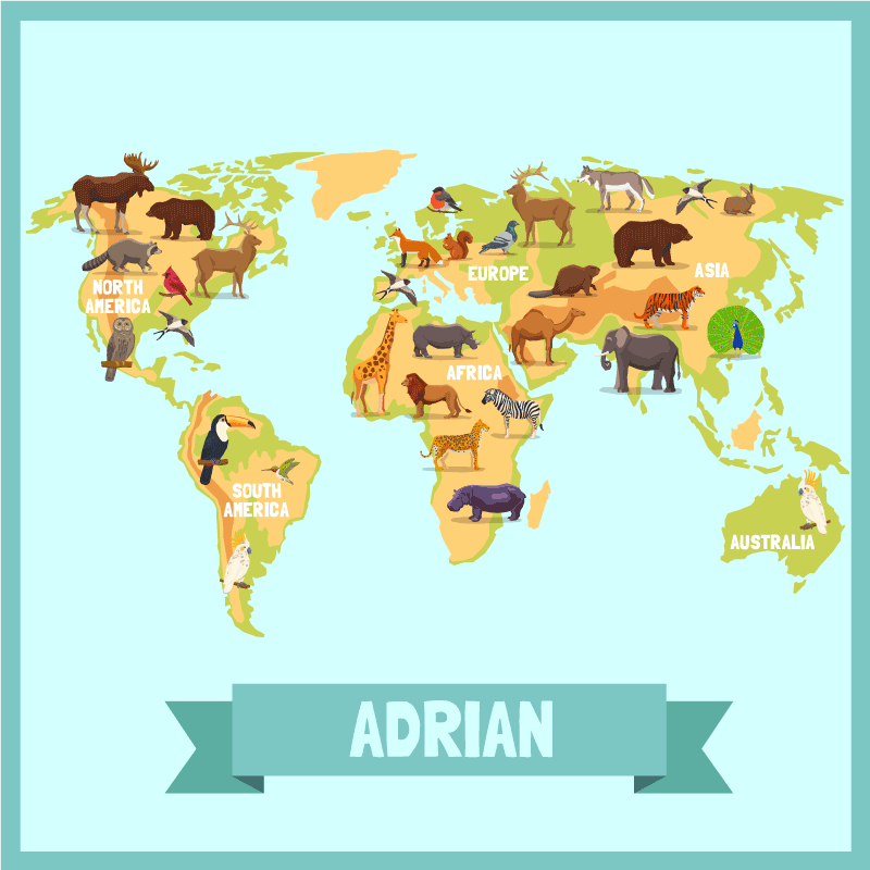 Tapete vinílico com nome design de fauna - TenStickers