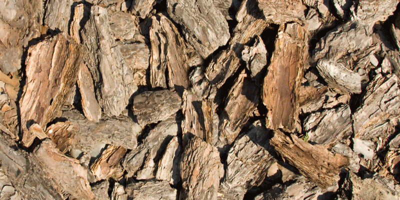 Tapete de textura de casca de árvore rústica marrom - TenStickers