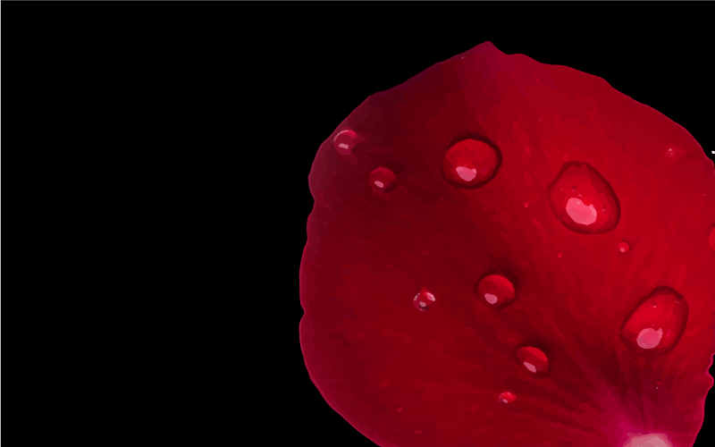 Tapete vinílico sala de estar glamour de pétala vermelha - TenStickers