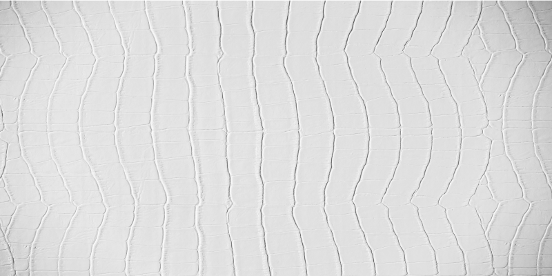 Tapete vinílico estampa de animal crocodilo elegante - TenStickers