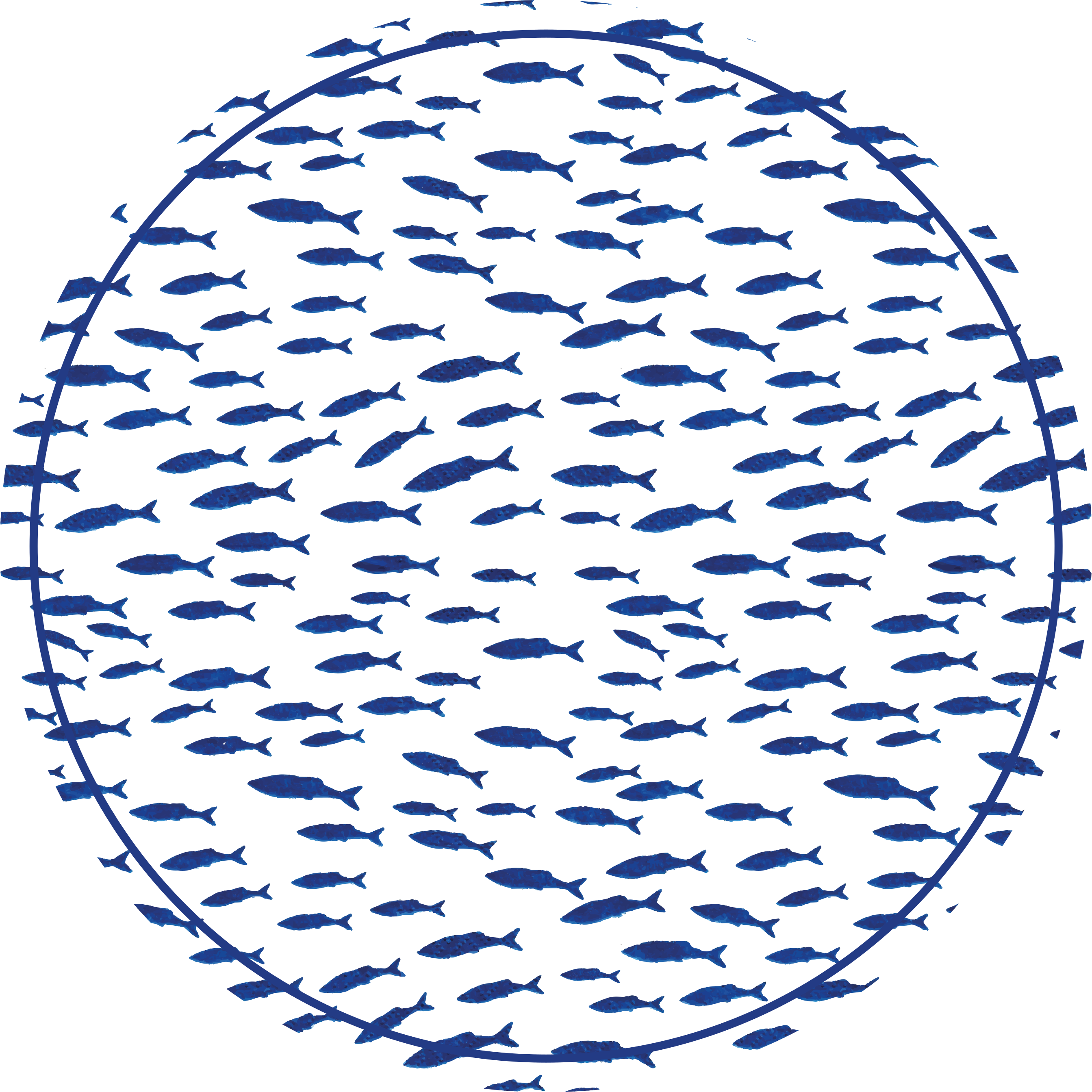 Tapete vinílico estampa de animal cardume de peixes - TenStickers