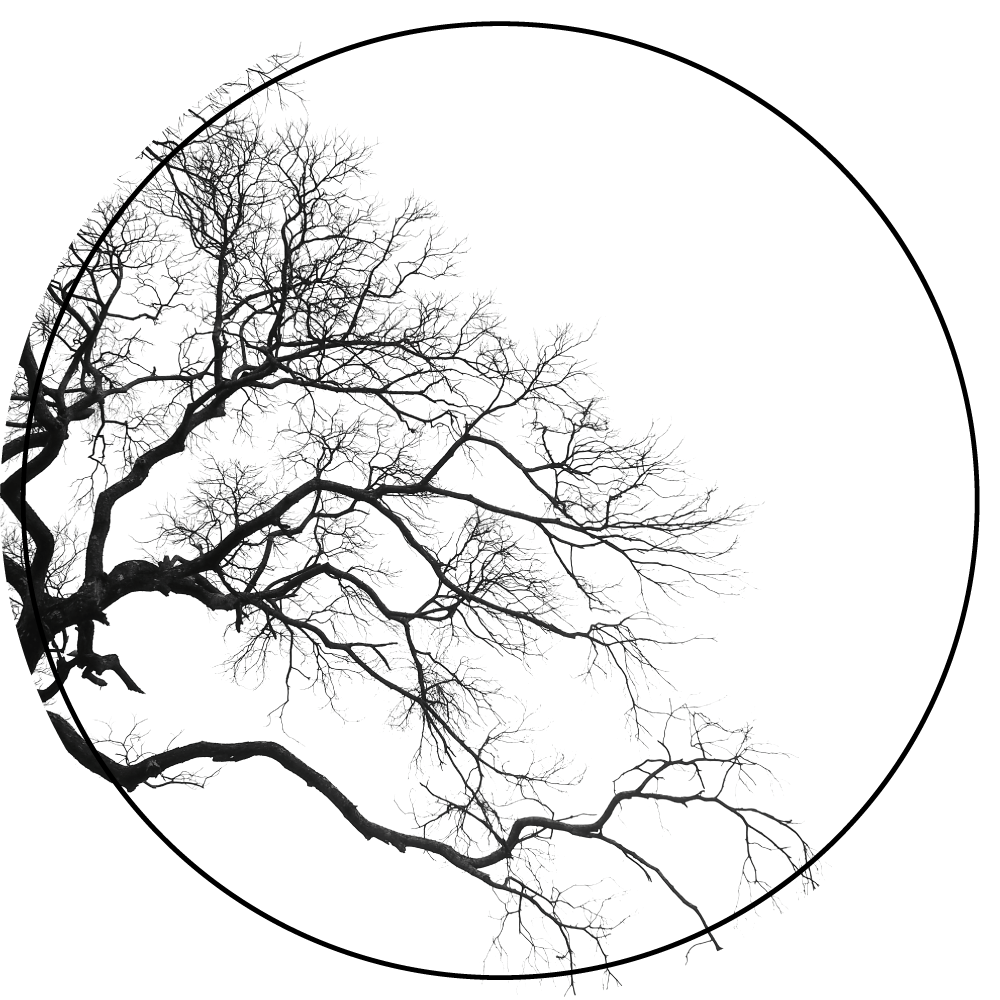 Tapete vinílico natureza arte de silhueta de galho - TenStickers