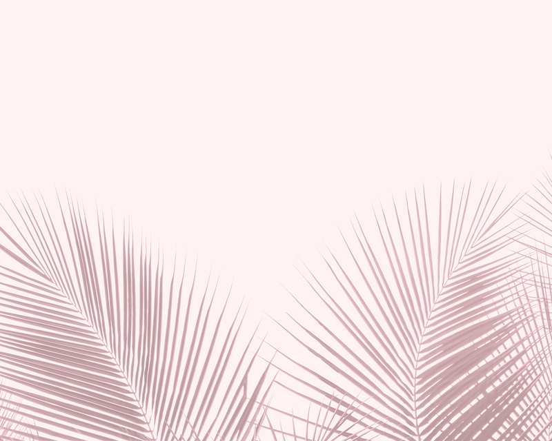 Tapete vinílico flores e plantas com palmeiras elegantes - TenStickers