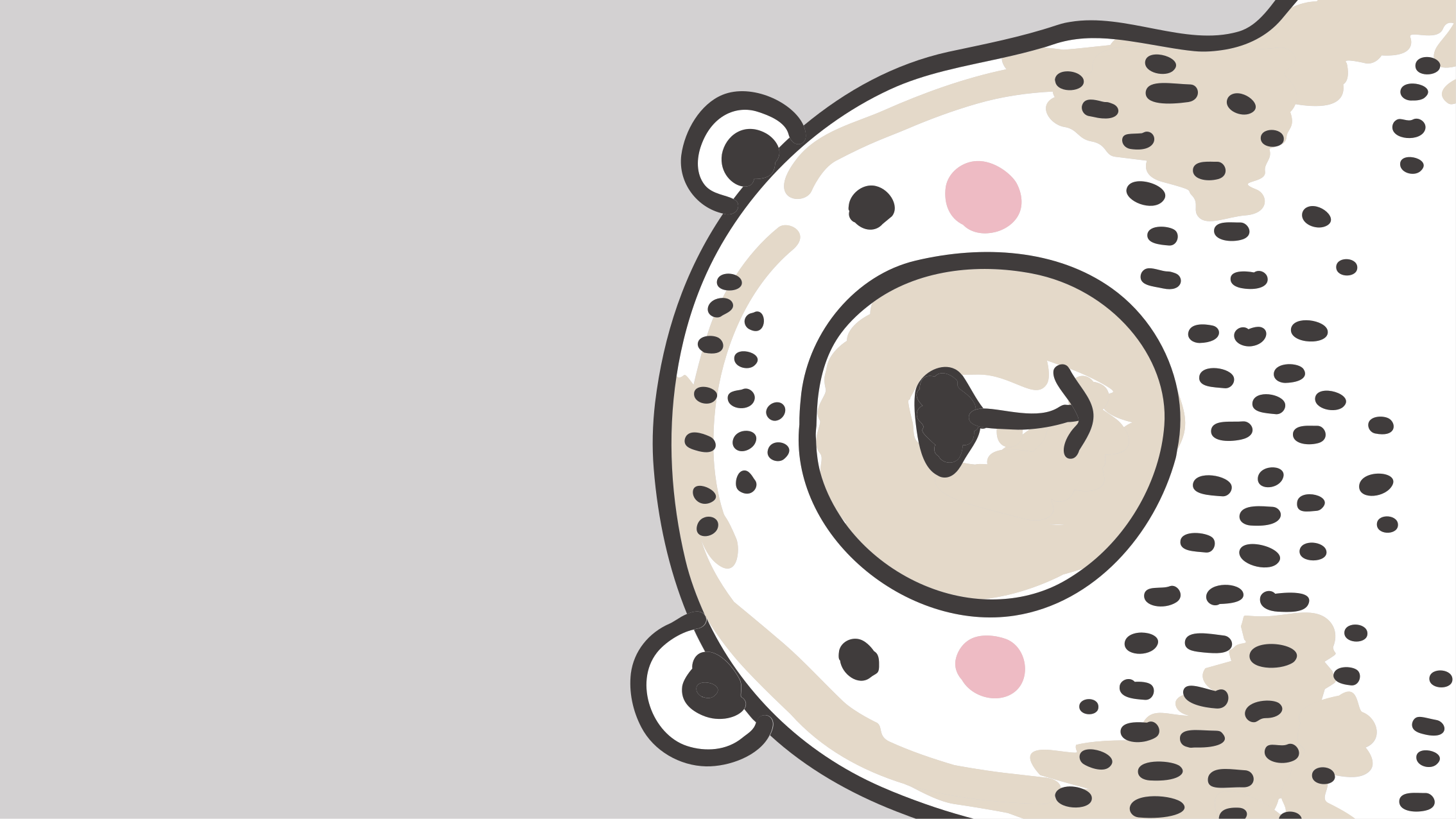 Tapete vinílico bebé formato de rosto de urso - TenStickers