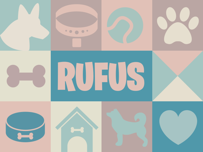 Tapete vinílico animais cães personalizados - TenStickers