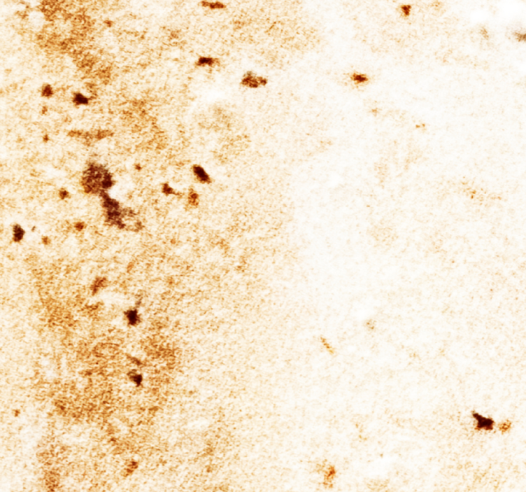 papel de parede mármore estética de pedra natural - TenStickers