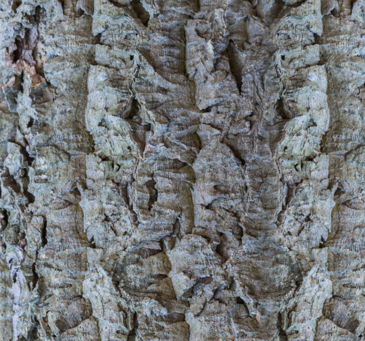 papel de parede moderno Efeito cortiça cinza claro - TenStickers