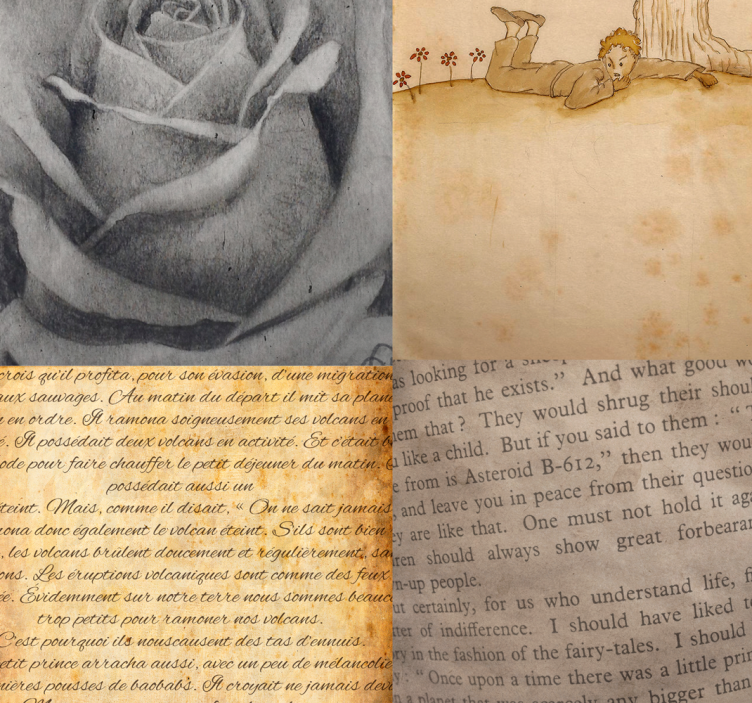 papel parede Páginas de “O principezinho " - TenStickers