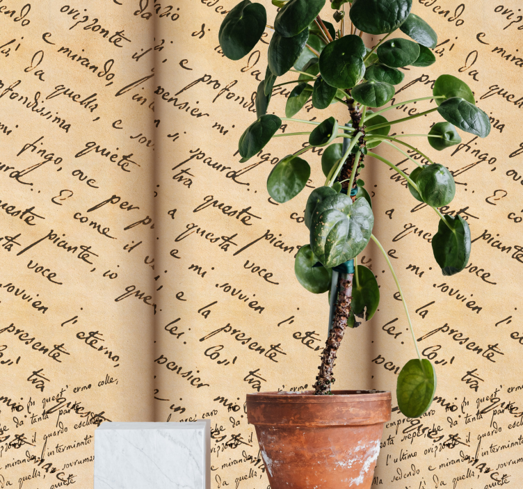 papel de parede entrada Poema infinito leopardi - TenStickers